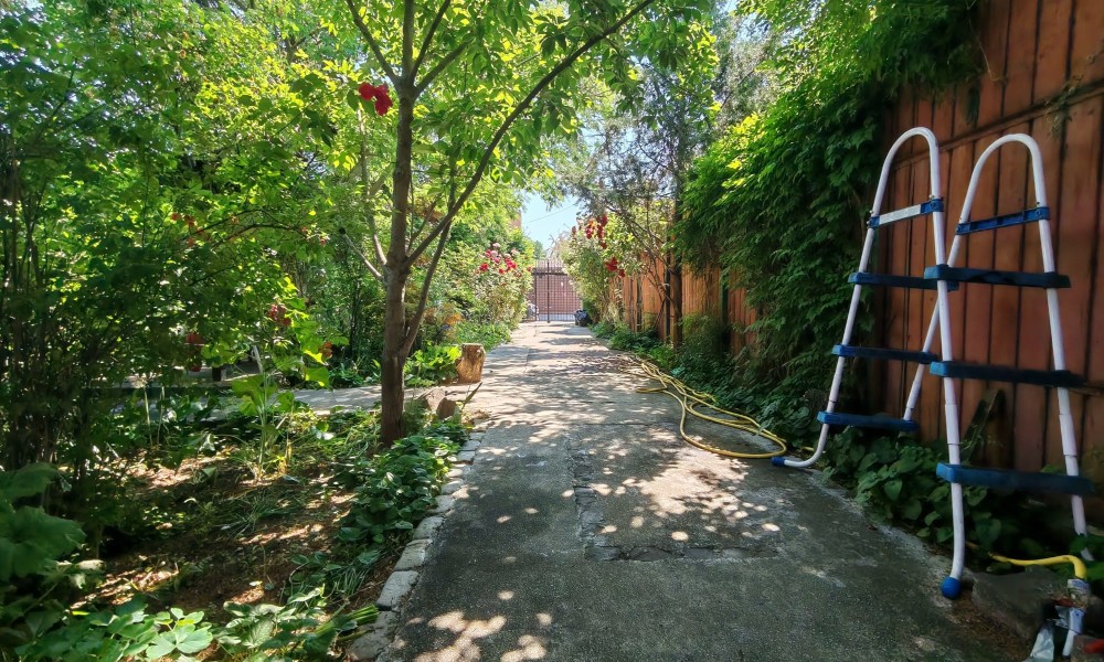 Vila cu sera si gradina, Arcasilor