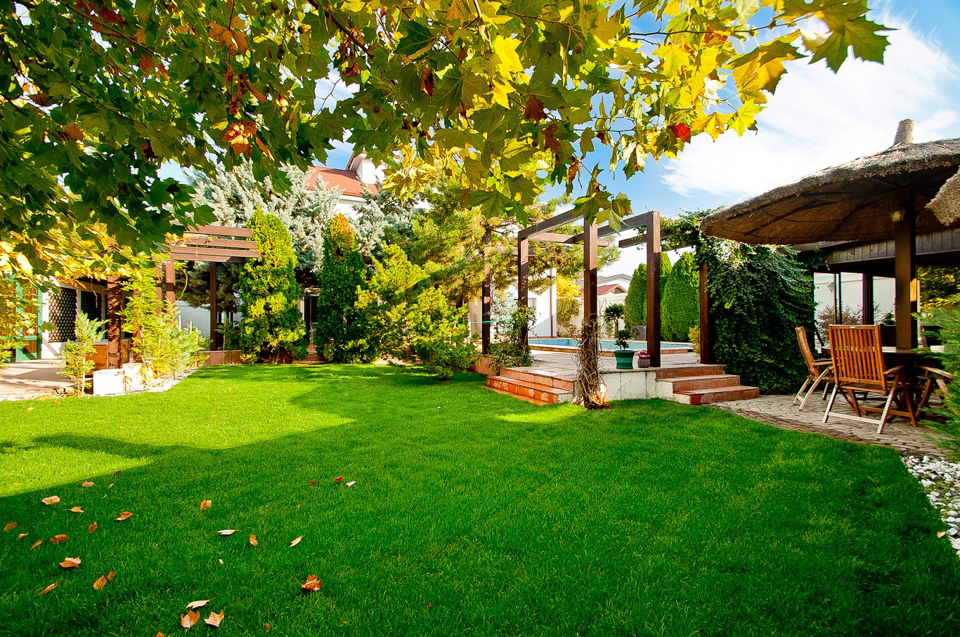 Vila cu piscina la Sendreni